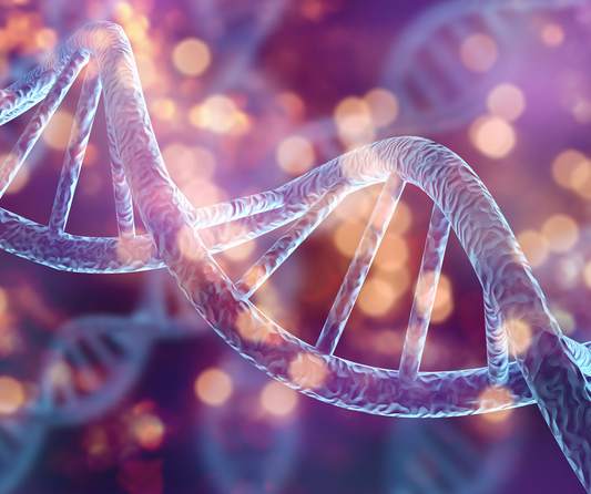 The 10 Fundamental Pillars of Longevity