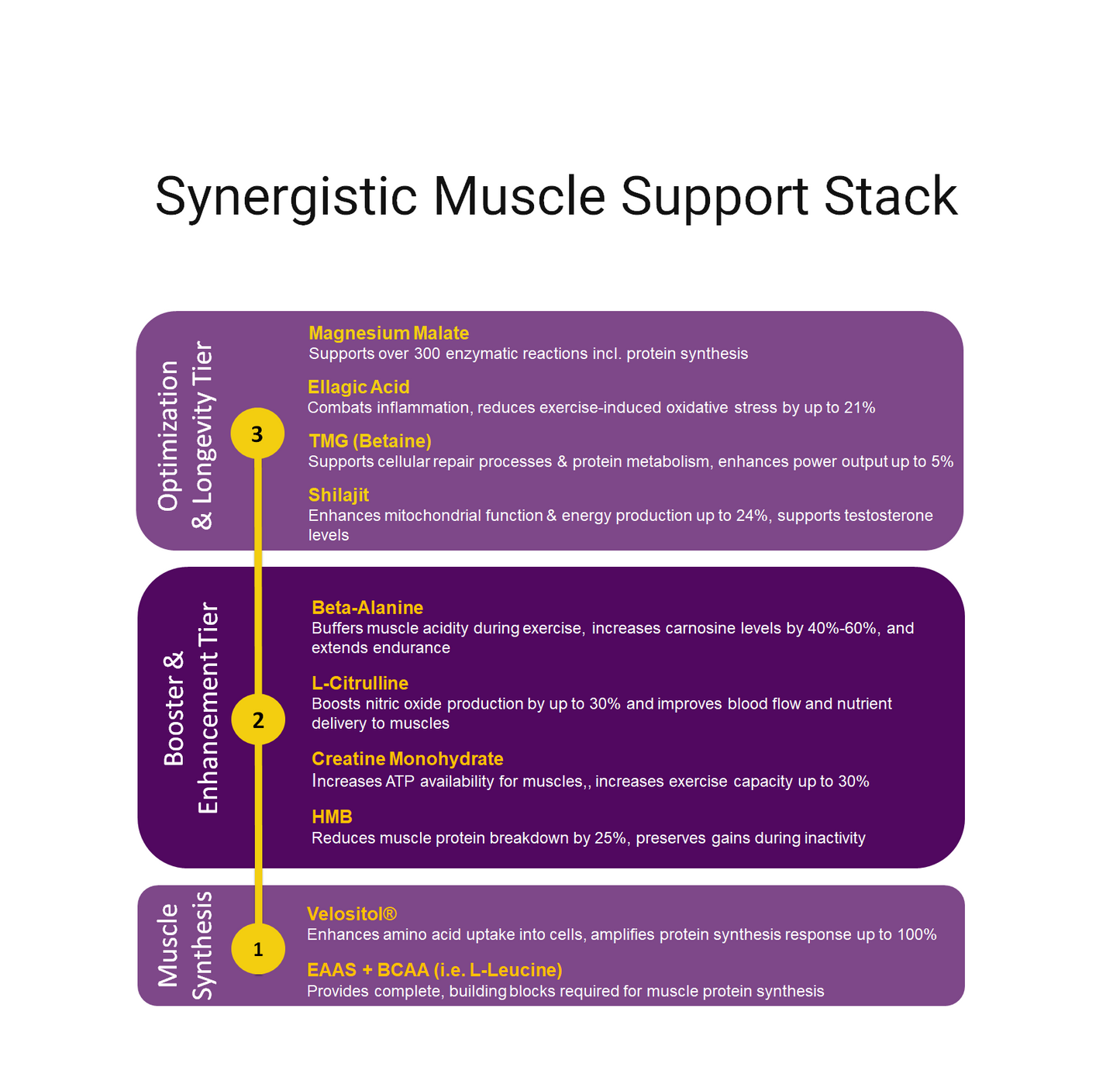 Strength Renew 50+