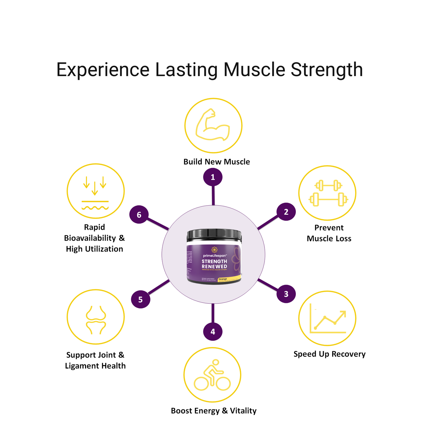 Strength Renew 50+